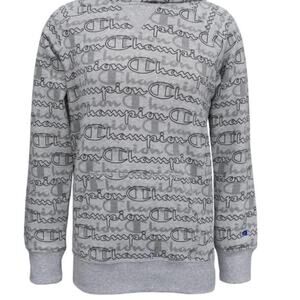 0355 NEW BOYS GRAY CHAMPION SWEATER